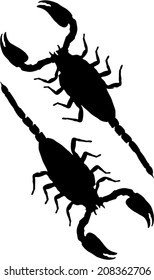 scorpions vector