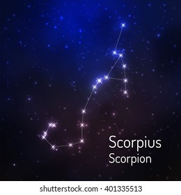 Scorpius (scorpion) constellation in the night starry sky. Vector illustration