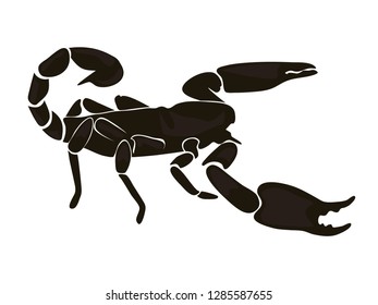 Scorpius. Vector illustration.
