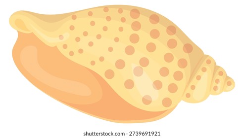 Scotch bennet shell cartoon icon. Beach seashell