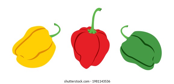 Scotch bonnet pepper illustration vector icon set