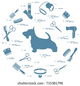 Scotch terrier silhouette, combs, collar, leash, razor, hair dryer, scissors arranged in a circle. Health care, grooming, caring for a dog, exhibition.