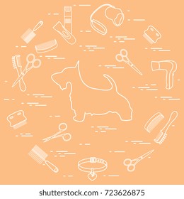 Scotch terrier silhouette, combs, collar, leash, razor, hair dryer, scissors arranged in a circle. Health care, grooming, caring for a dog, exhibition.