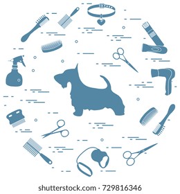 Scotch terrier silhouette, combs, collar, leash, razor, hair dryer, scissors, sprayer arranged in a circle. Health care, grooming, caring for a dog, exhibition.