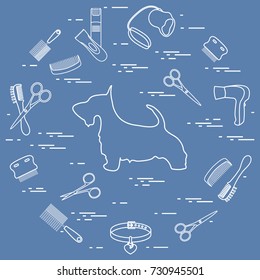 Scotch terrier silhouette, combs, collar, leash, razor, hair dryer, scissors arranged in a circle. Health care, grooming, caring for a dog, exhibition.