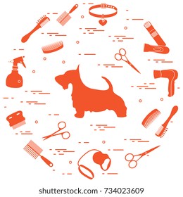 Scotch terrier silhouette, combs, collar, leash, razor, hair dryer, scissors, sprayer arranged in a circle. Health care, grooming, caring for a dog, exhibition.