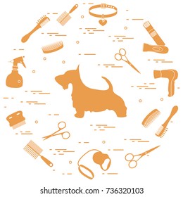 Scotch terrier silhouette, combs, collar, leash, razor, hair dryer, scissors, sprayer arranged in a circle. Health care, grooming, caring for a dog, exhibition.