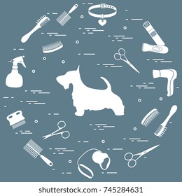 Scotch terrier silhouette, combs, collar, leash, razor, hair dryer, scissors, sprayer arranged in a circle. Health care, grooming, caring for a dog, exhibition.