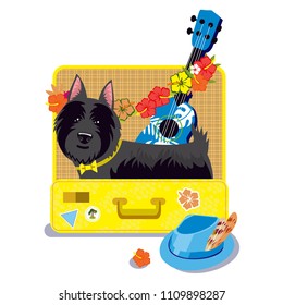 Scotch Terrier in the suitcase
