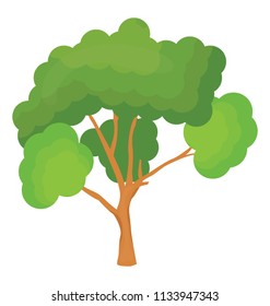 
Scots pine tree, pinus sylvestris flat icon
