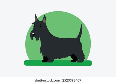 The "Scottie Scottish Terrier Dog vector art illustration" is a high-quality, scalable digital graphic featuring a detailed and stylized image of the iconic Scottish Terrier dog in vector format.