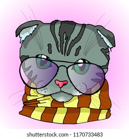 Scottish cat with glasses and scarf