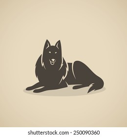 Scottish collie - vector illustration