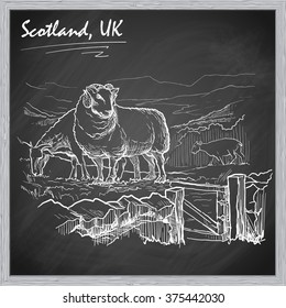 Scottish countryside panorama with sheeps on a pasture. Sketch imitating chalk drawing on a blackboard. Sketch is isolated on a separate layer. EPS10 vector illustration.