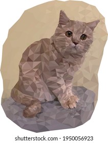 Scottish cream cat. Colorful vector illustration of a sitting cat. Triangulated realistic portrait of a cute peach cat. Cute fluffy pet. Beautiful animal. Image for design, cards. Stock illustration.
