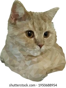 Scottish cream cat. Colorful vector illustration of a cat s head. Triangulated realistic portrait of a cute peach cat. Cute fluffy pet. A beautiful animal. Image for design, postcards. Stock illustrat