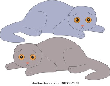 Scottish cute cats in a set. Vector image. 
