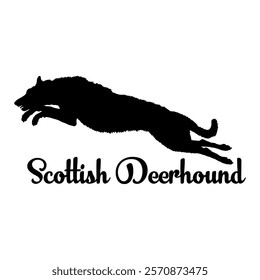 Scottish Deerhound. dog silhouette, dog breeds, logo, vector, silhouette,  animal, illustration, icon, sign, design, black, symbol, pet, love
