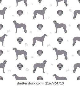 Scottish deerhound seamless pattern. Different poses, coat colors set.  Vector illustration