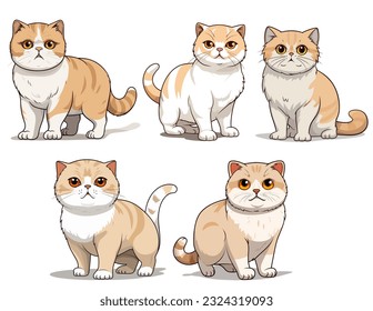 Scottish Fold cat, 5 styles cartoon vector, in the style of detailed character illustrations and smooth lines.