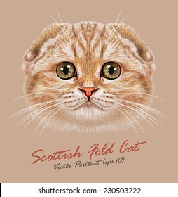 Scottish fold cat animal cute face. Vector happy orange peach tabby stripe pattern Scottish fold kitten head portrait. Realistic fur portrait of scottish green eyes kitty isolated on beige background.