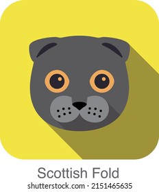 Scottish Fold, Cat breed face cartoon flat icon design