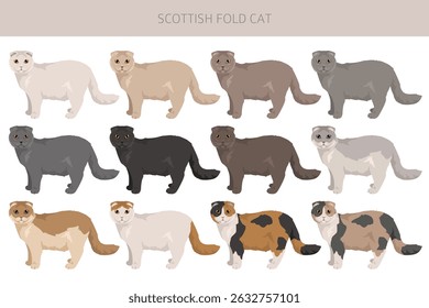 Scottish Fold Cat clipart. All coat colors set.  All cat breeds characteristics infographic. Vector illustration