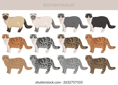 Scottish Fold Cat clipart. All coat colors set.  All cat breeds characteristics infographic. Vector illustration