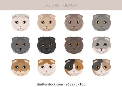 Scottish Fold Cat clipart. All coat colors set.  All cat breeds characteristics infographic. Vector illustration