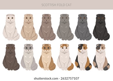 Scottish Fold Cat clipart. All coat colors set.  All cat breeds characteristics infographic. Vector illustration