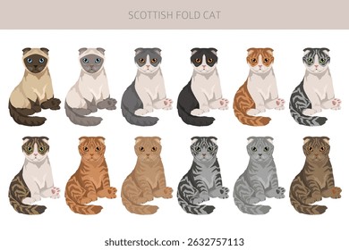 Scottish Fold Cat clipart. All coat colors set.  All cat breeds characteristics infographic. Vector illustration