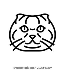 scottish fold cat cute pet line icon vector. scottish fold cat cute pet sign. isolated contour symbol black illustration