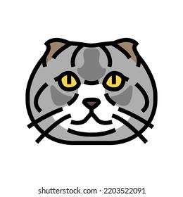 scottish fold cat cute pet color icon vector. scottish fold cat cute pet sign. isolated symbol illustration