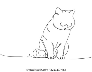 Arte de una línea para el gato de peluche escocés. Dibujo continuo de líneas de mascota, mamífero, gatito, crema, raza, amistad, gatito, amigo, pedigrí, personaje.