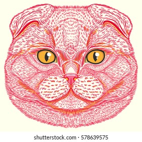 Scottish Fold cat portrait hand drawn in lines. Stylized doodle isolated vector illustration