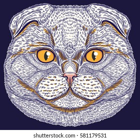 Scottish Fold cat portrait hand drawn in lines. Stylized doodle isolated vector illustration
