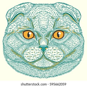 Scottish Fold cat portrait hand drawn in lines. Stylized doodle isolated vector illustration