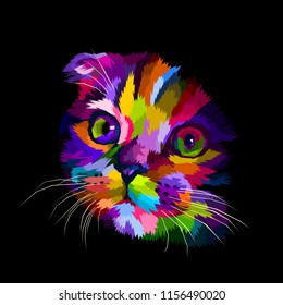 scottish fold cat's head is colorful in the dark