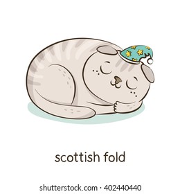 Scottish fold. Cute vector cartoon cat character in a hat sleeping isolated on white with breed caption