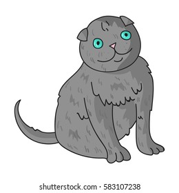 Scottish Fold icon in cartoon style isolated on white background. Cat breeds symbol stock vector illustration.