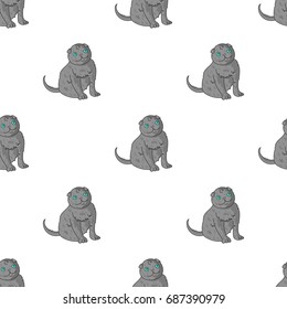 Scottish Fold icon in cartoon style isolated on white background. Cat breeds symbol stock vector illustration.