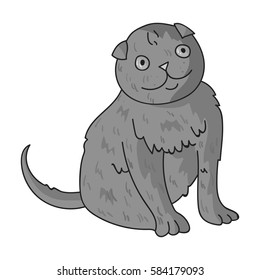 Scottish Fold icon in monochrome style isolated on white background. Cat breeds symbol stock vector illustration.