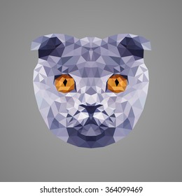 Scottish Fold portrait. Low poly design. Abstract polygonal illustration.