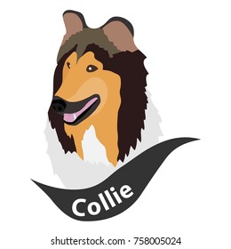 Scottish Shepherd Dog, dog head, dog. Flat design, vector illustration, vector.