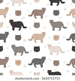 Scottish Straight Cat clipart. All coat colors set.  All cat breeds characteristics infographic. Vector illustration