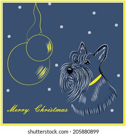 Scottish Terrier dog with bow and Christmas-tree ball