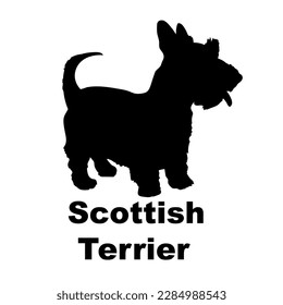 scottish terrier Dog silhouette dog breeds