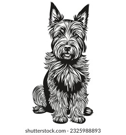 Scottish Terrier dog silhouette pet character, clip art vector pets drawing black and white