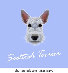 Scottish Terrier Dog. Vector Illustrated Portrait of Dog on blue background.