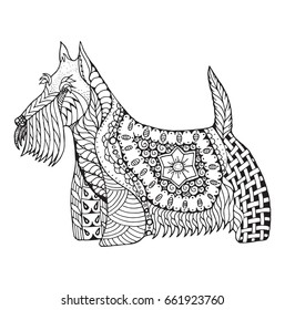 Scottish terrier dog zentangle stylized, vector, illustration, freehand pencil, hand drawn, pattern. Zen art. Black and white illustration on white background. Adult anti-stress coloring book.